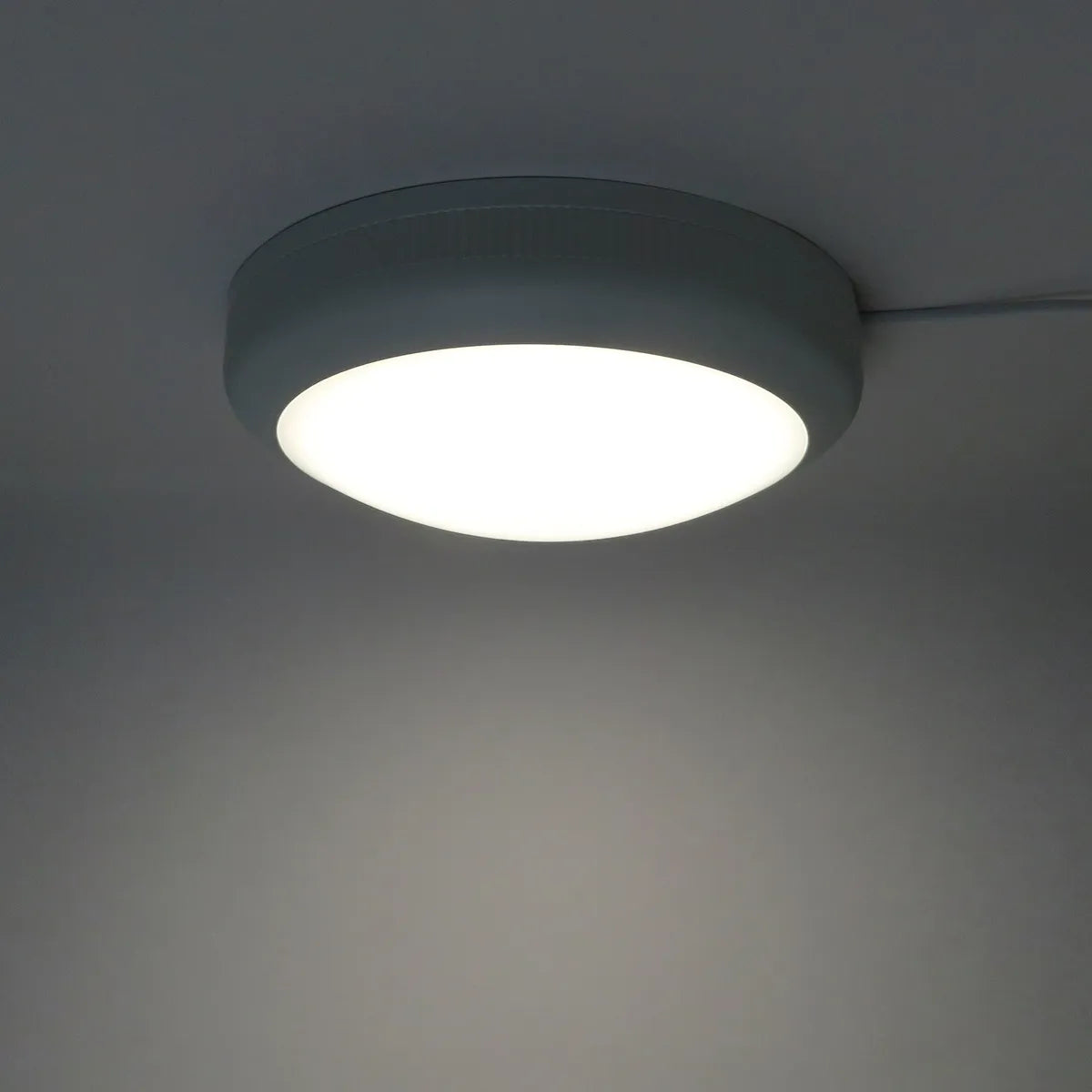 LED Bulkhead opbouw IP66 IK08 waterbestendig 30cm 20W