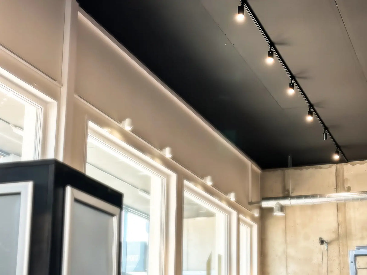 Energiezuinge COB LED Railspot 3 fase 20W met Philips-driver