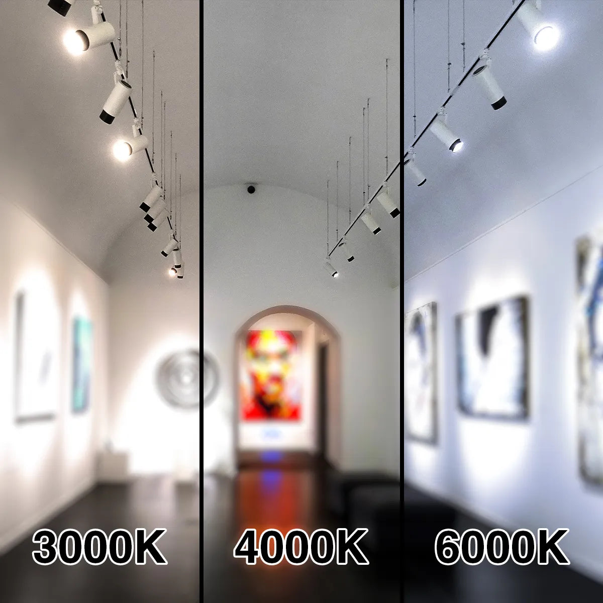 Energiezuinge COB LED Railspot 3 fase 10W met Philips-driver