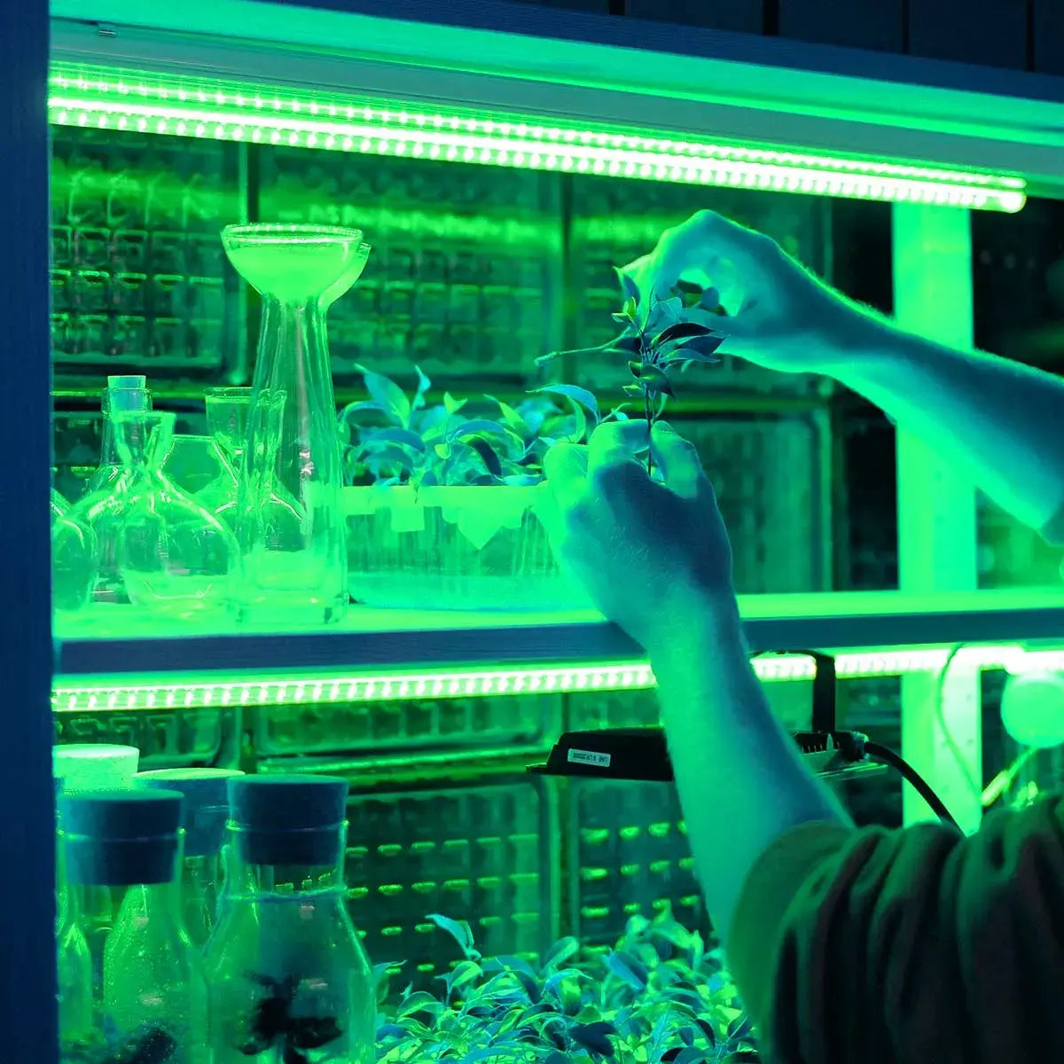 LED Strip RGB 5 meter SMD5050 Pro-X 60LEDS/m IP65