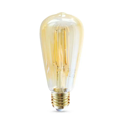 E27 LED Lamp filament Edison 6W 2200K dimbaar