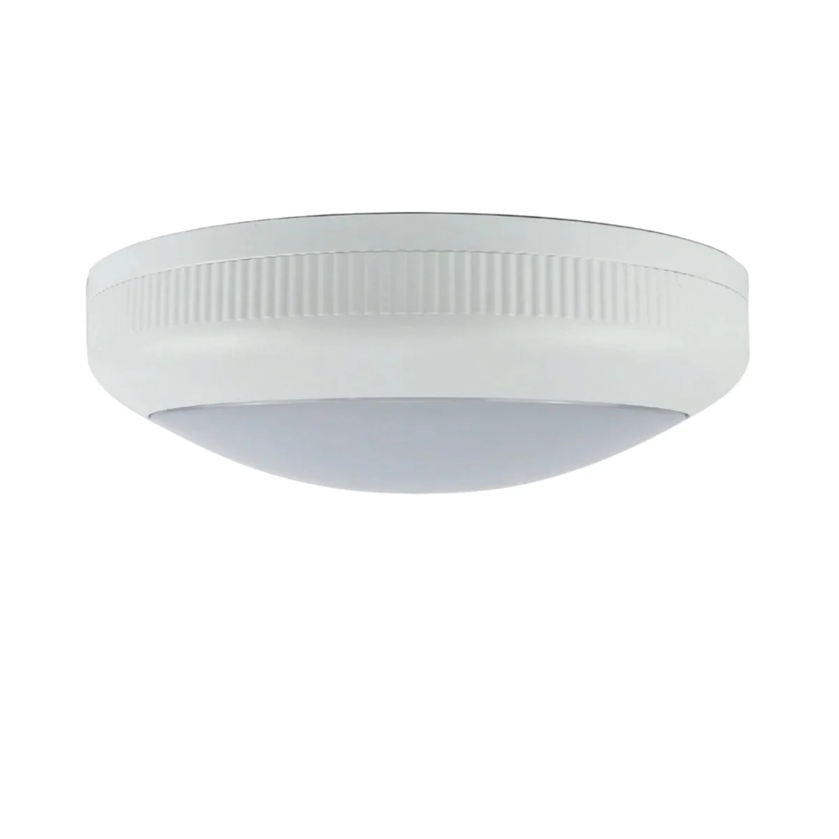LED Bulkhead opbouw IP66 IK08 waterbestendig 30cm 20W