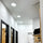 LED Downlights