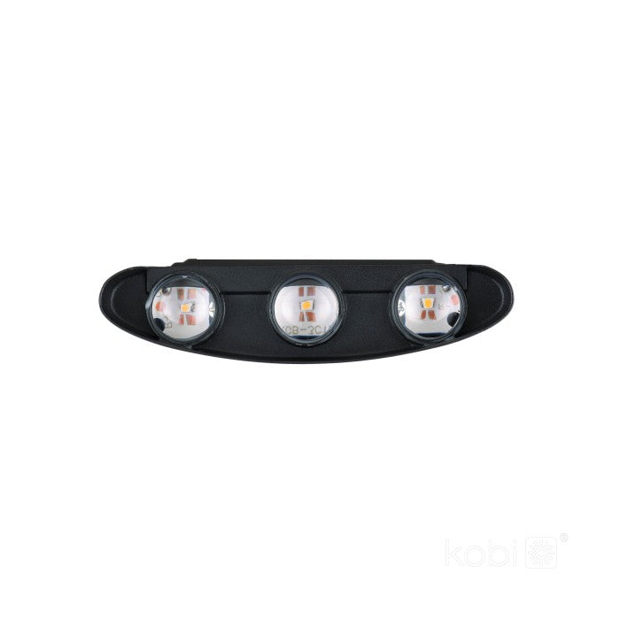 LED Wandlamp 6W Bi-directioneel 180° 166x79mm IP54