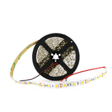 LED-Streifen 5 Meter SMD5050 Pro-X 60LEDS/m IP65